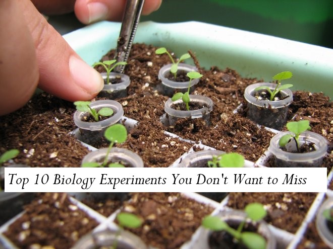 top 10 biology experiments